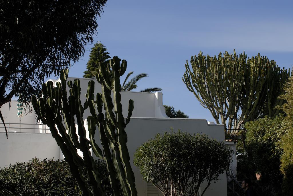 Hotel Terme Villa Teresa Forio di Ischia Esterno foto